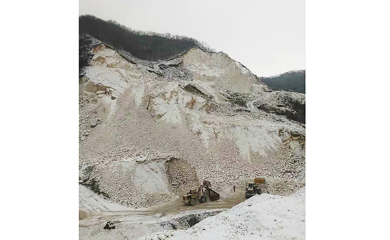 熱烈慶祝鞍山東盛源礦業(yè)有限公司網(wǎng)站正式成立！